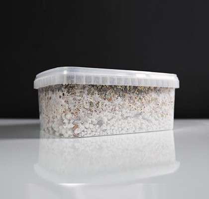 Golden Teacher Paddo Growkit - Image 3
