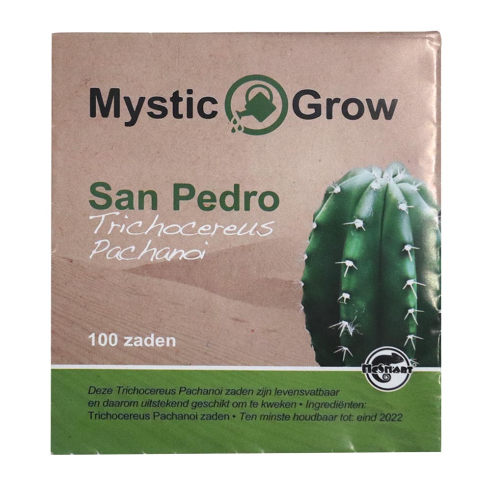 San Pedro T. Pachanoi Zaden